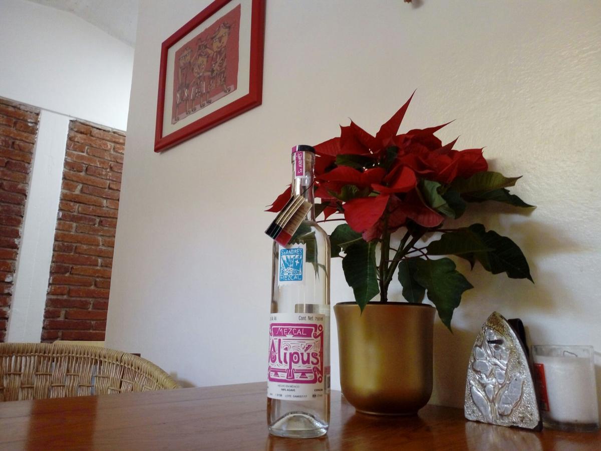 Casa Mixteca Santo Domingo Oaxaca Villa Eksteriør billede
